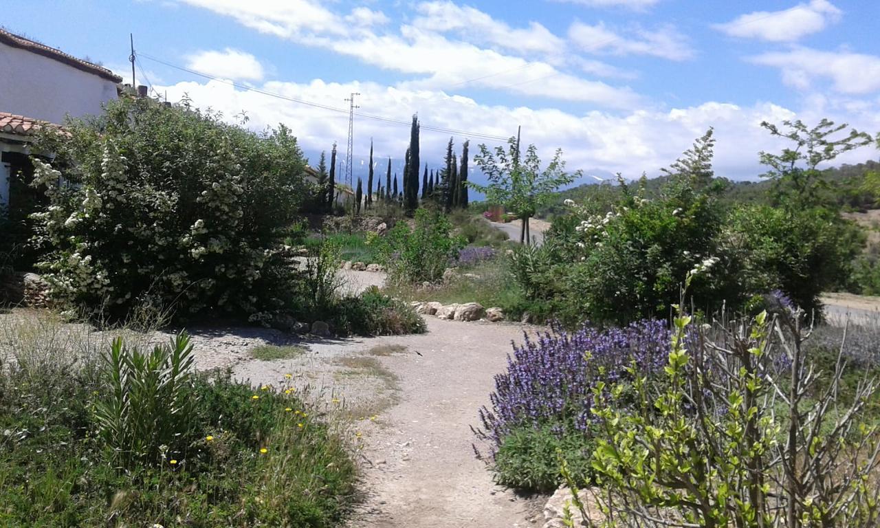 Appartamento Cuevas Del Zenete Alcudia de Guadix Esterno foto
