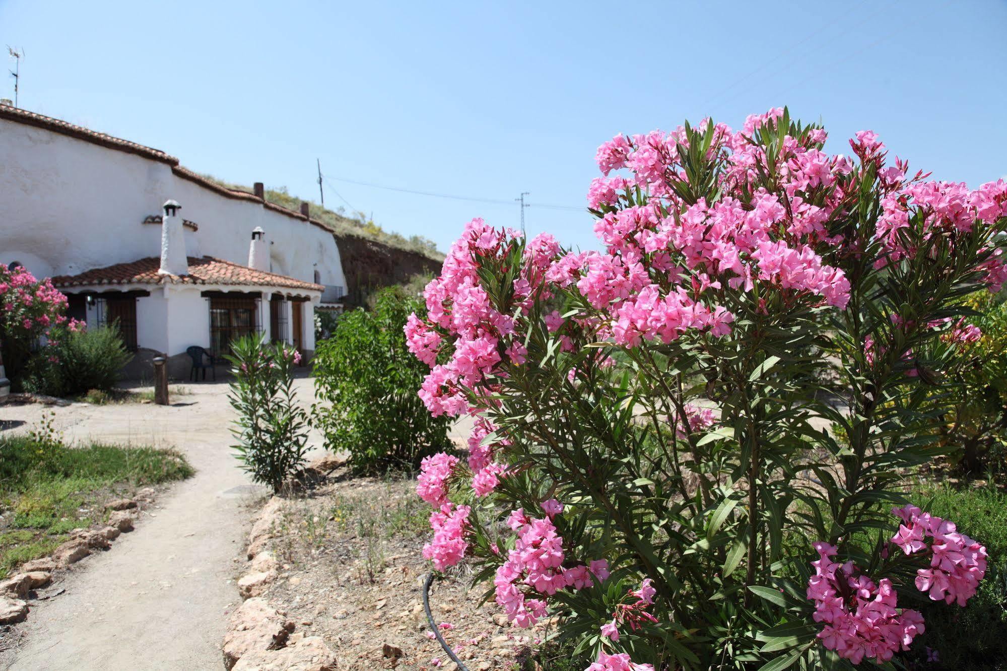 Appartamento Cuevas Del Zenete Alcudia de Guadix Esterno foto